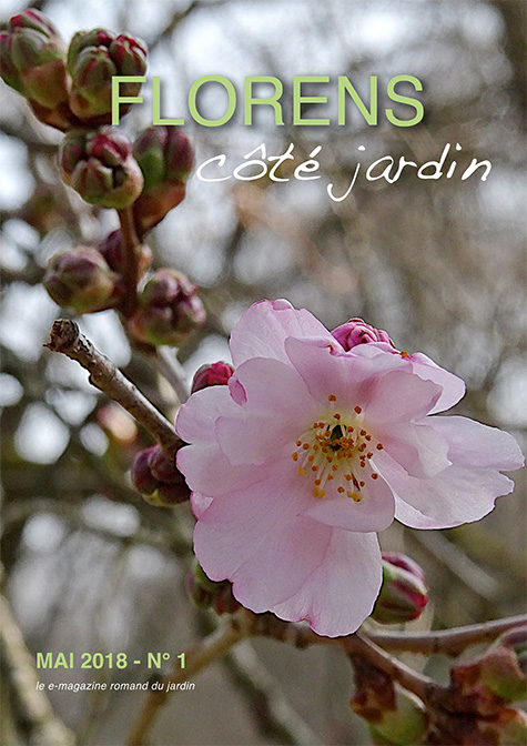 une FLORENS côté jardin Mai 2018