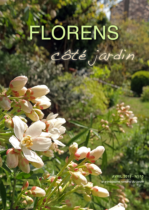 une FLORENS côté jardin Avril 2019