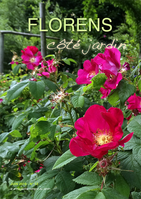 une FLORENS côté jardin Juin 2019