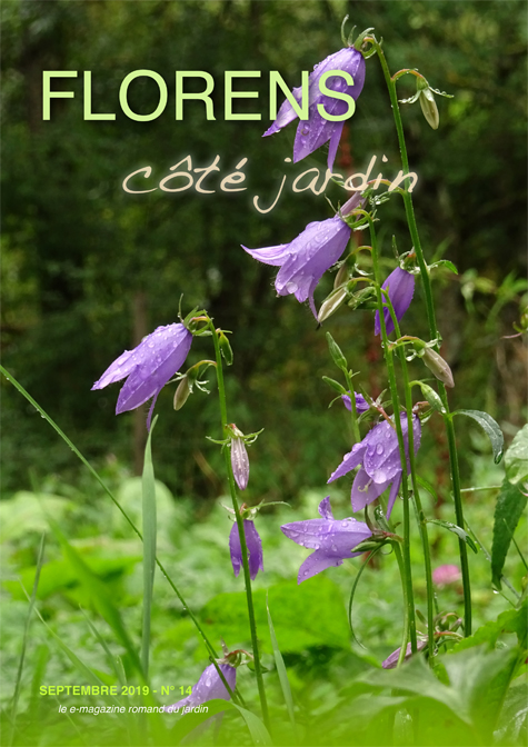 une FLORENS côté jardin Septembre 2019