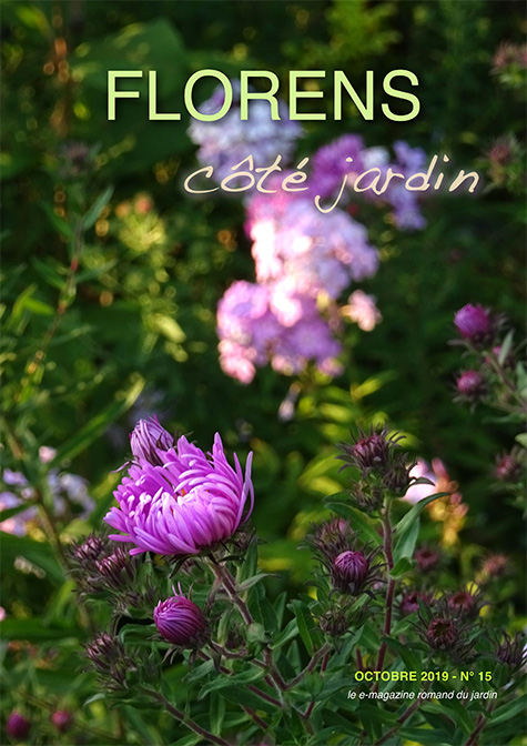 une FLORENS côté jardin Octobre 2019