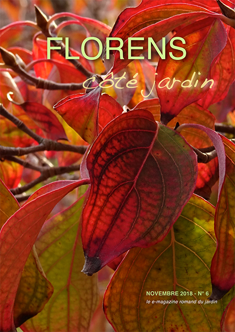 une FLORENS côté jardin Novembre 2018