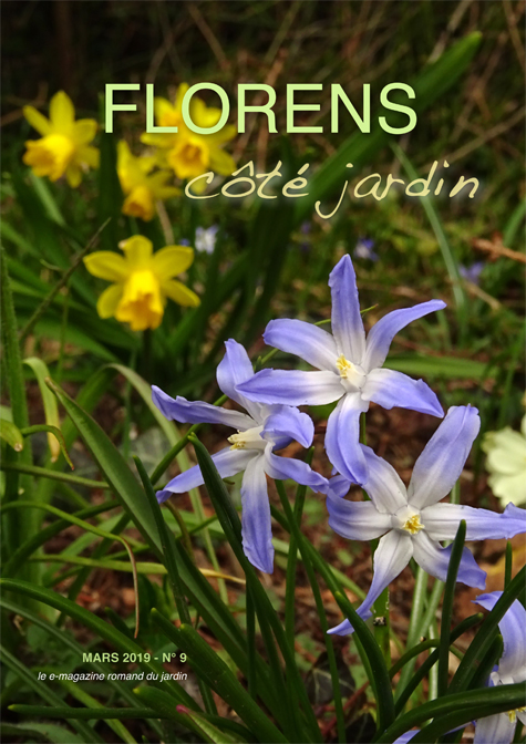 une FLORENS côté jardin Mars 2019