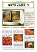 une Feuille Verte newsletter Côté Jardin automne