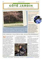 une newsletter