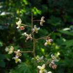 Miniature 8572