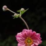 Miniature 6484